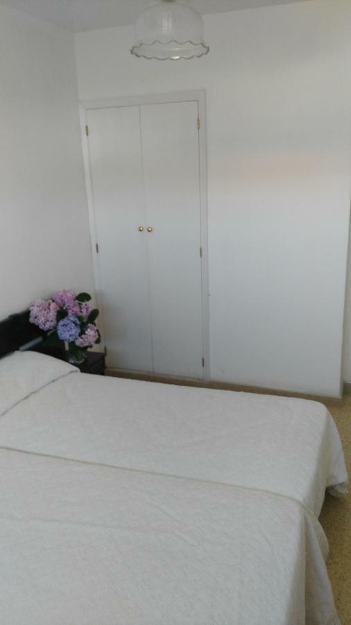Apartamento San Vicente Эль-Грове Экстерьер фото